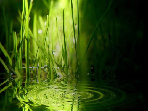 [原]心有所依,所以快乐_紫雪梅影的台州__台州19楼