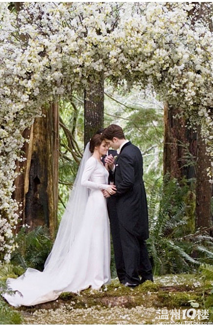 hold不住啊暮光之城里面贝拉的婚纱