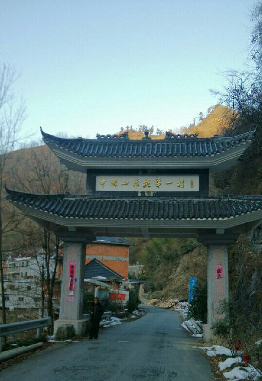 温州这边临安山核桃不多吧