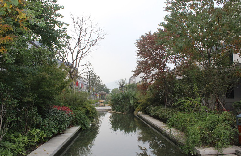 走进双溪镇步行漫生活街区_大家分享__杭州19楼