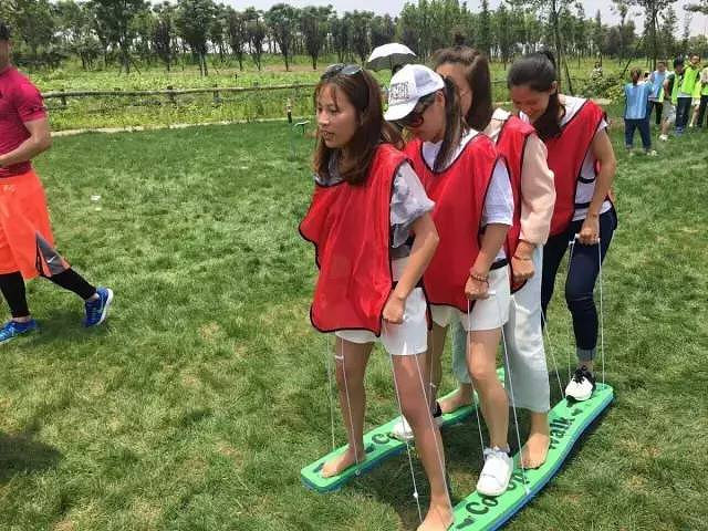 余杭周边这片3000亩花海即将免费开放,惊艳我