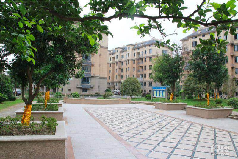 嵊州【崇城壹品】 千年古镇?温泉之城,均价6000左右学区房,现房