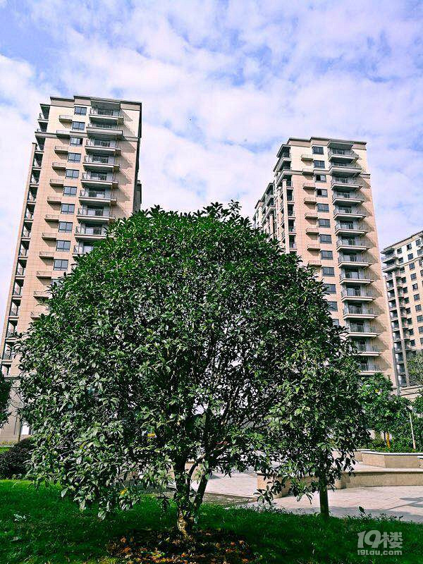 嵊州【崇城壹品】 千年古镇?温泉之城,均价6000左右学区房,现房